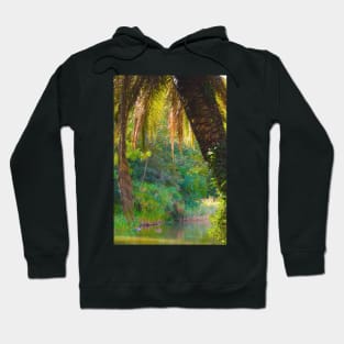 Lago da Gulbenkian. Art Museum Hoodie